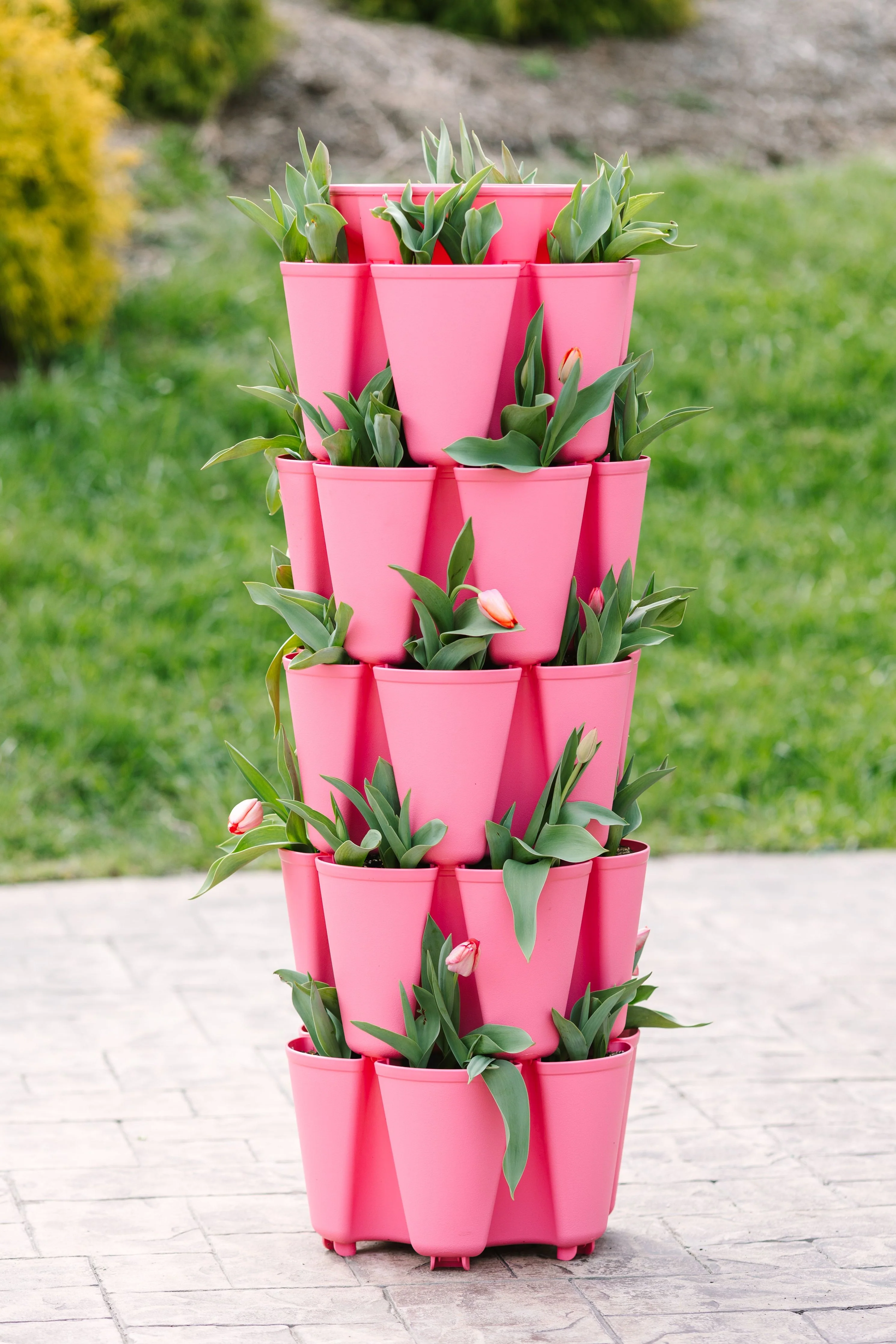 5 Tier GreenStalk Original Vertical Planter | Strawberry Pink (Basic Texture)