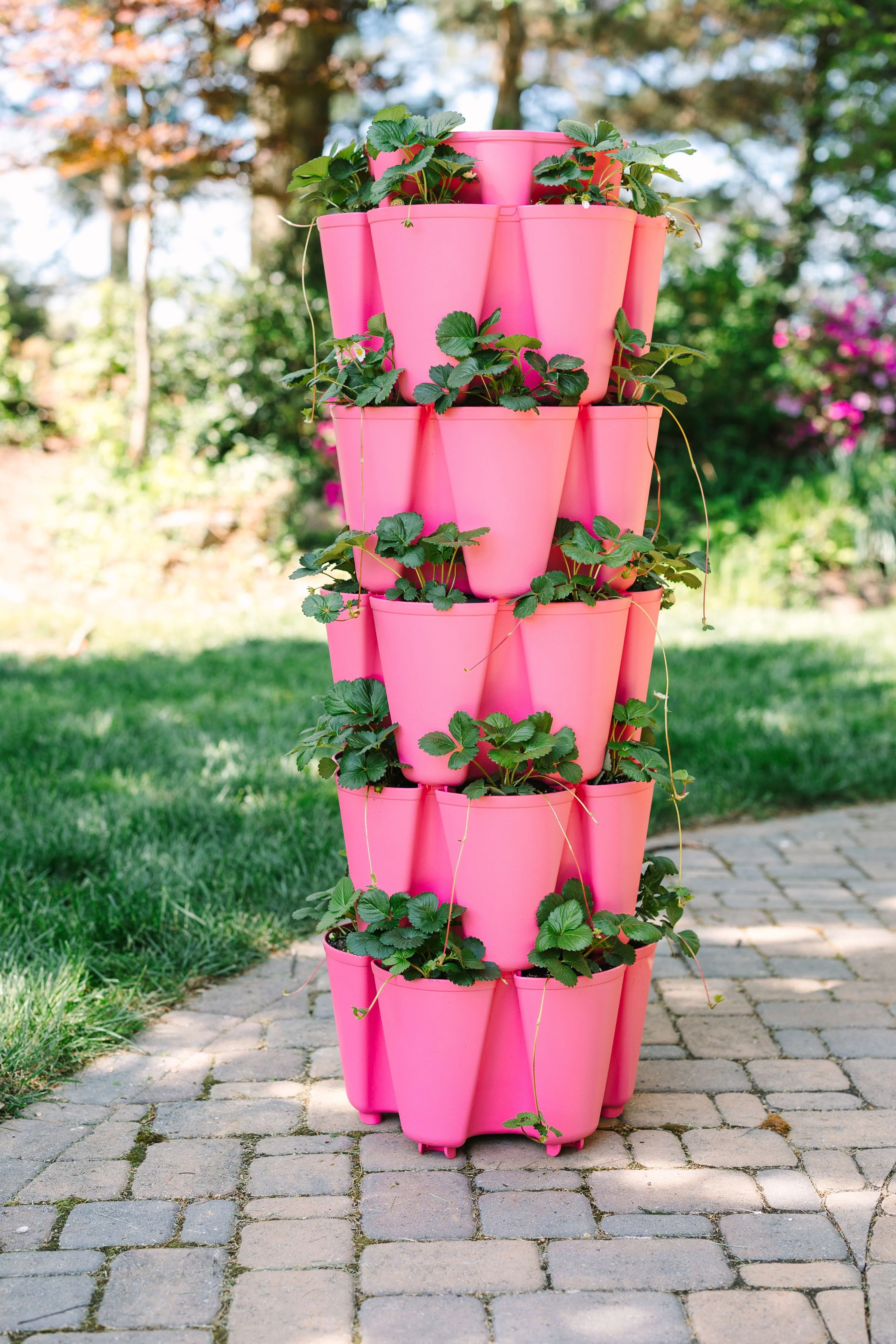 5 Tier GreenStalk Original Vertical Planter | Strawberry Pink (Basic Texture) - Image 2