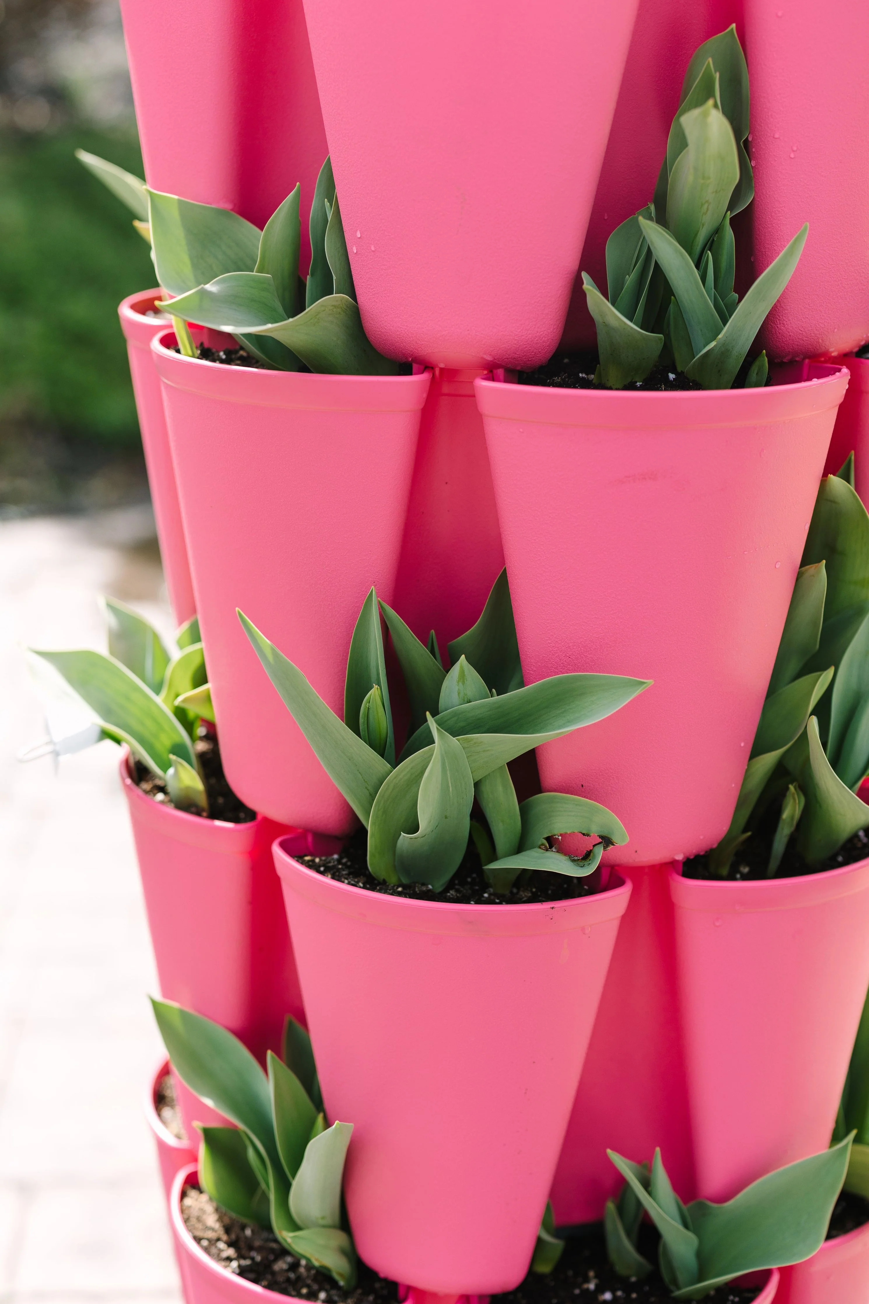 5 Tier GreenStalk Original Vertical Planter | Strawberry Pink (Basic Texture) - Image 3