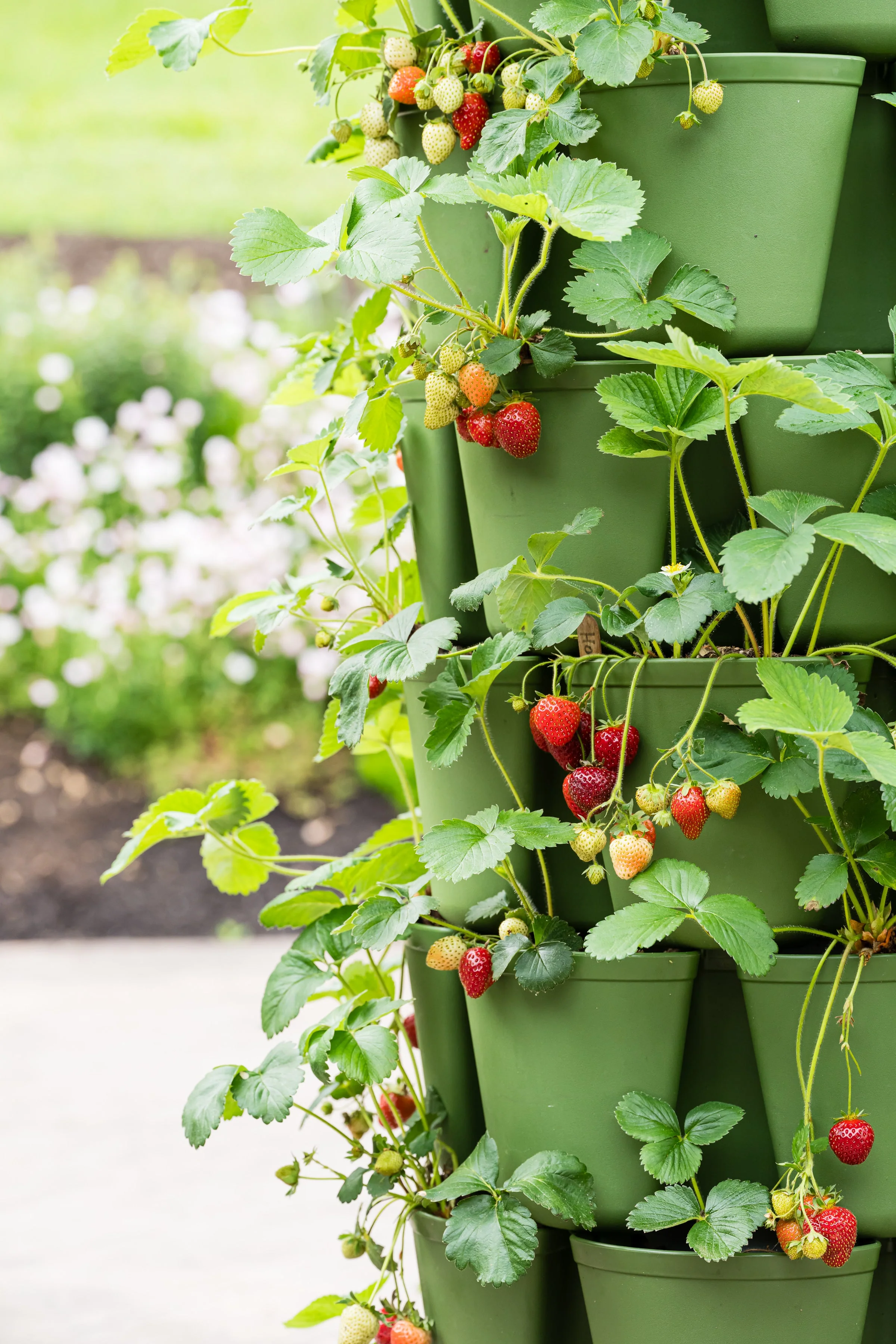 7 Tier GreenStalk Leaf Vertical Planter | Evergreen (Basic Texture) - Image 3
