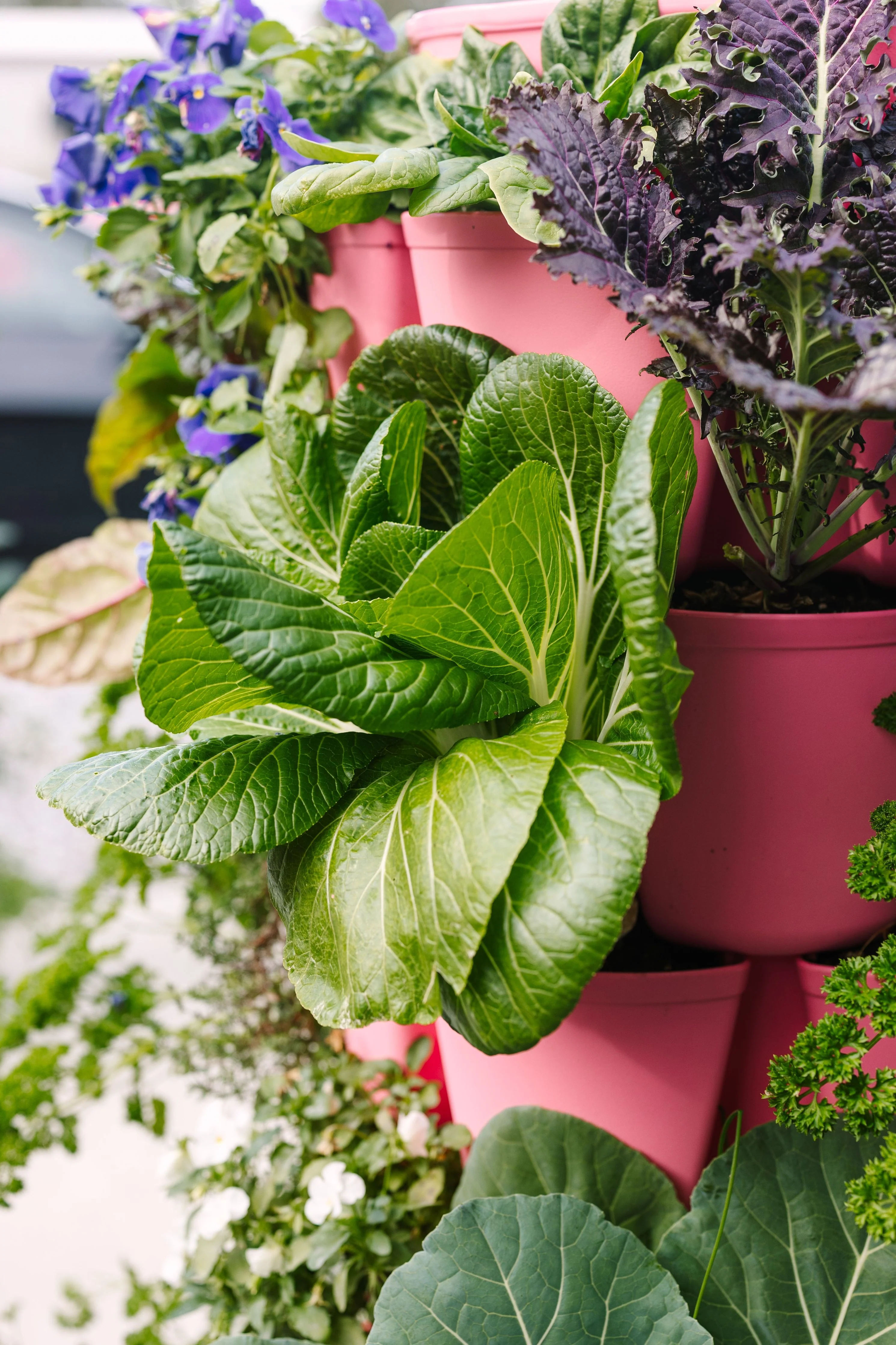 7 Tier GreenStalk Leaf Vertical Planter | Strawberry Pink (Basic Texture) - Image 3