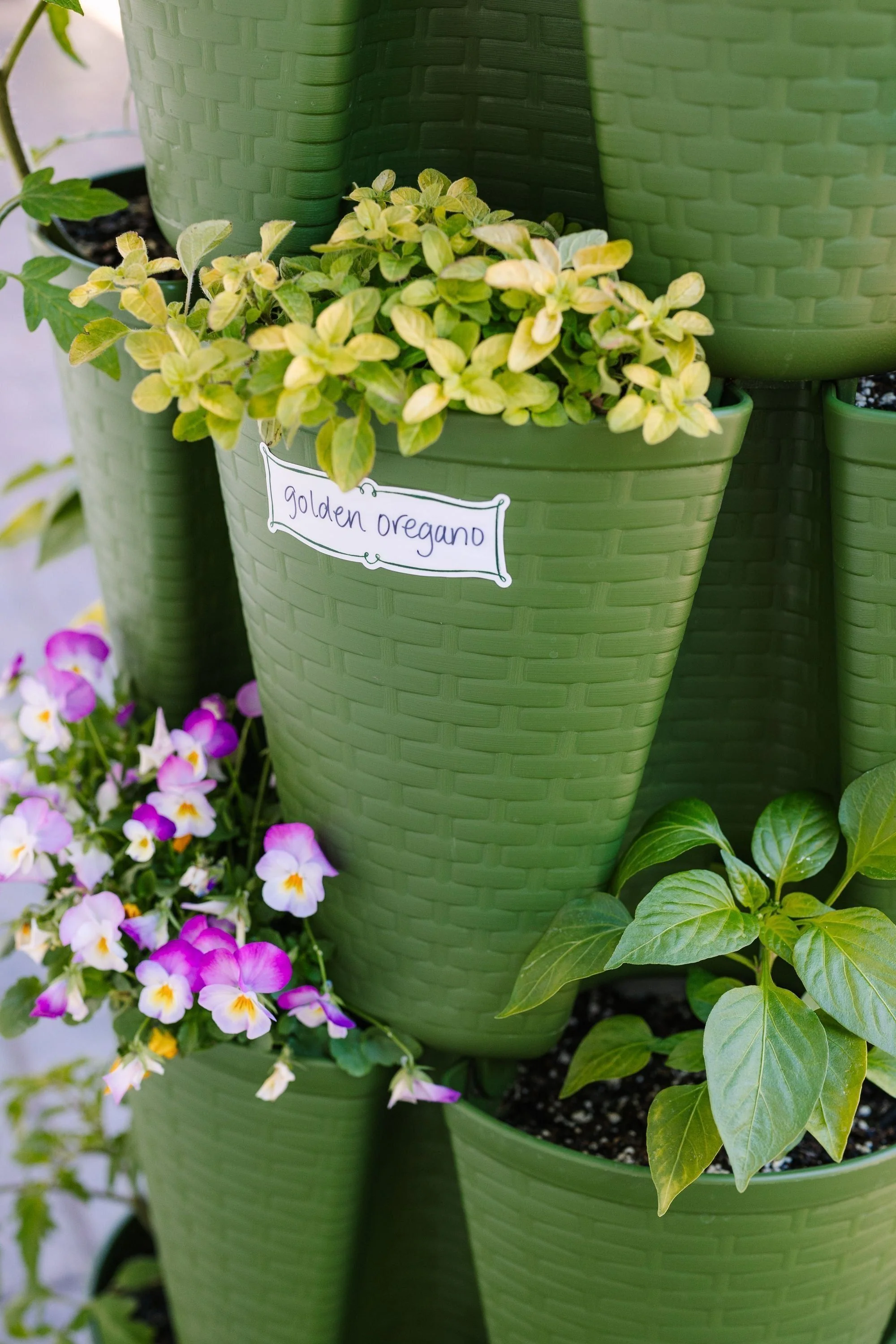 Blank Plant Marker Sticker - Pack of 6