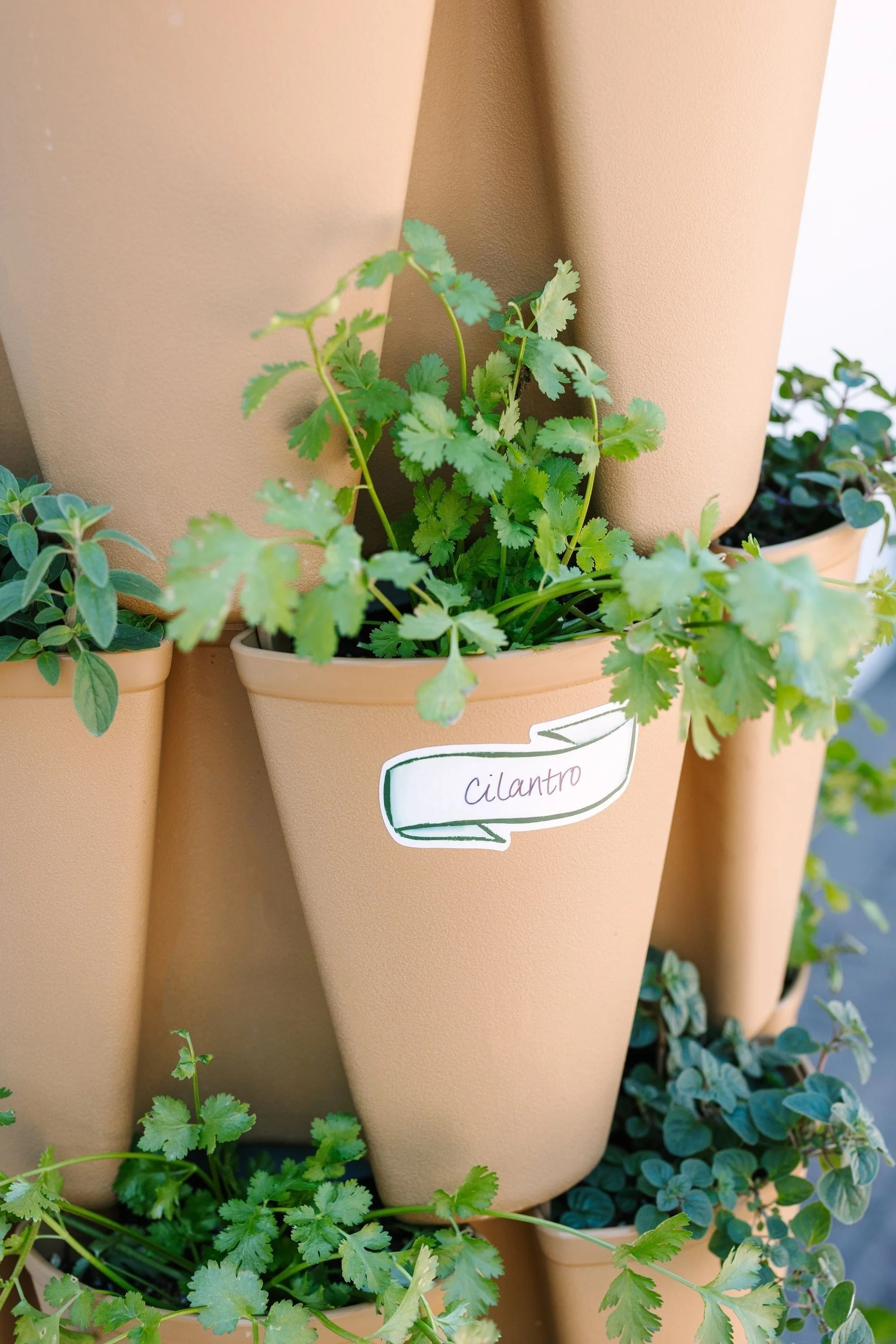 Blank Plant Marker Sticker - Pack of 6 - Image 2
