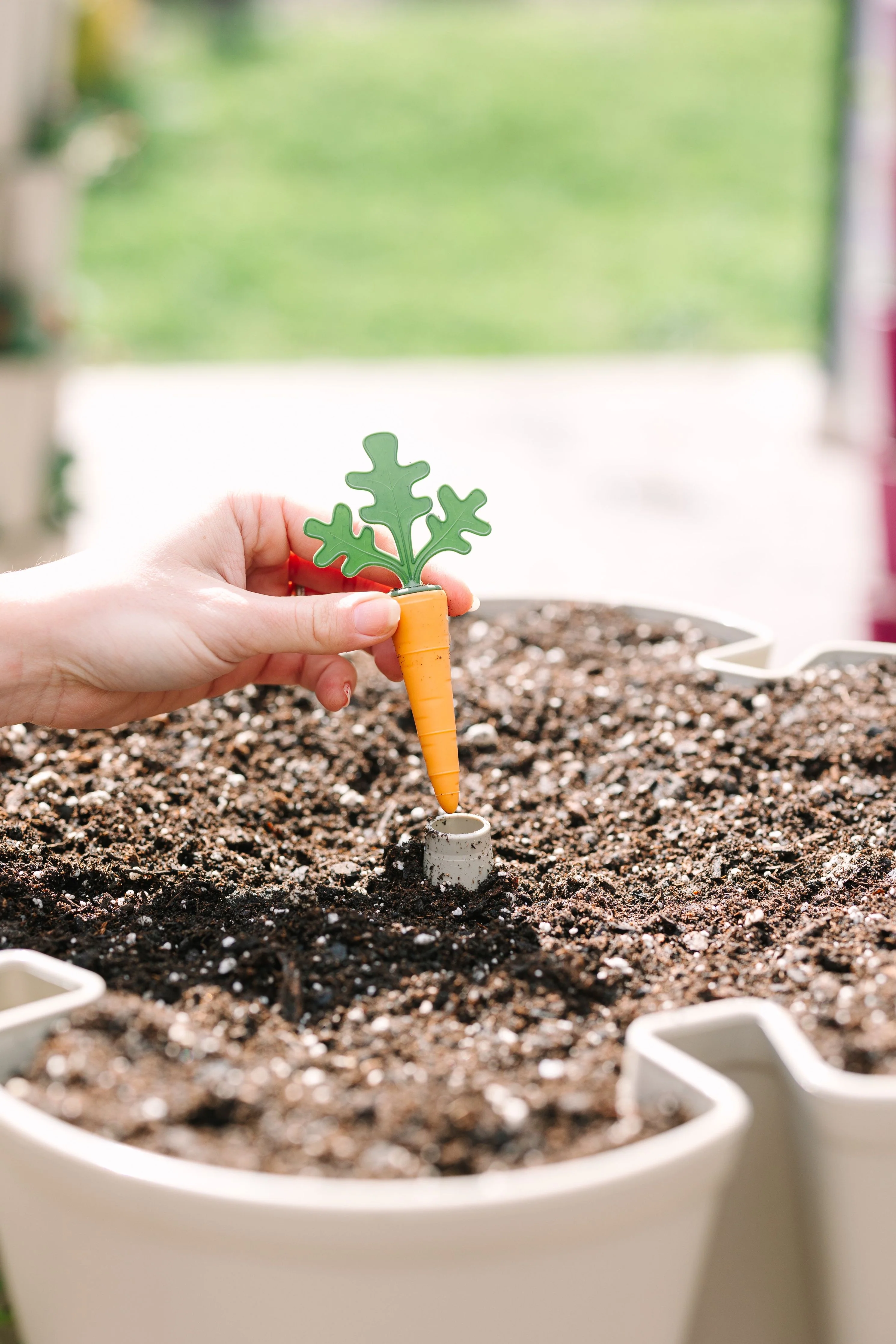 GreenStalk Carrot Cap - Set of 4