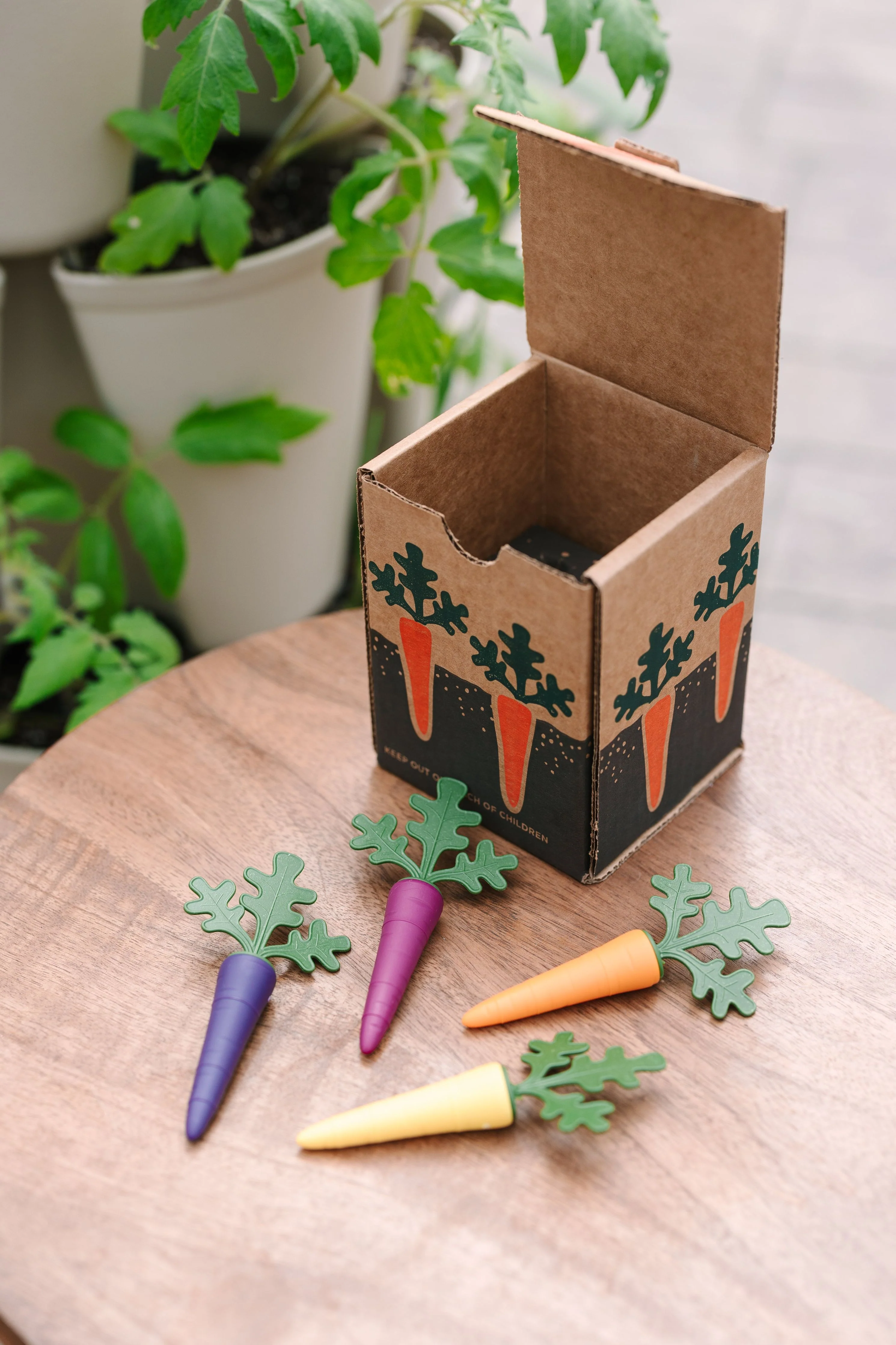 GreenStalk Carrot Cap - Set of 4 - Image 2