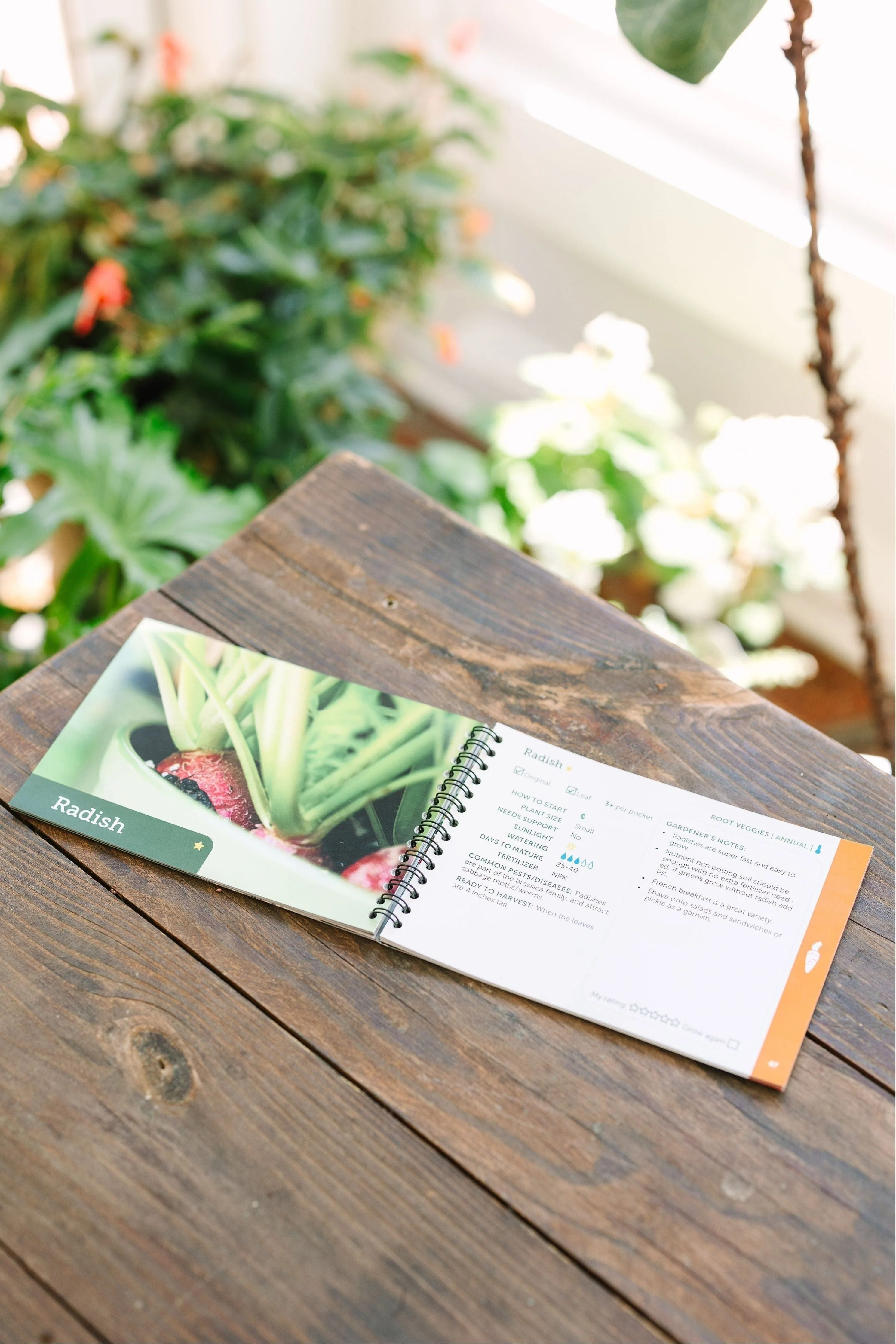 Edible Plant Guide - Image 3