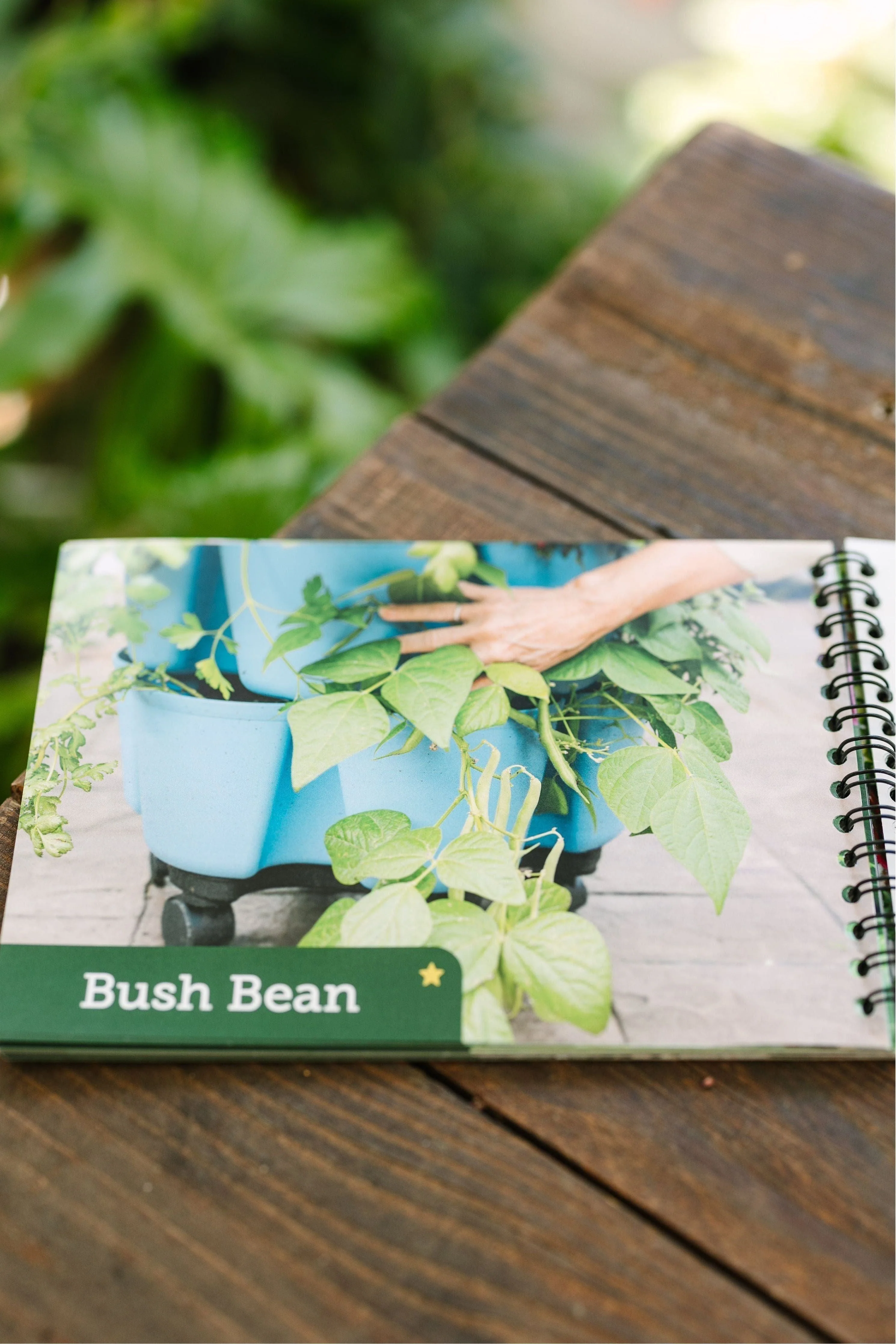 Edible Plant Guide - Image 4