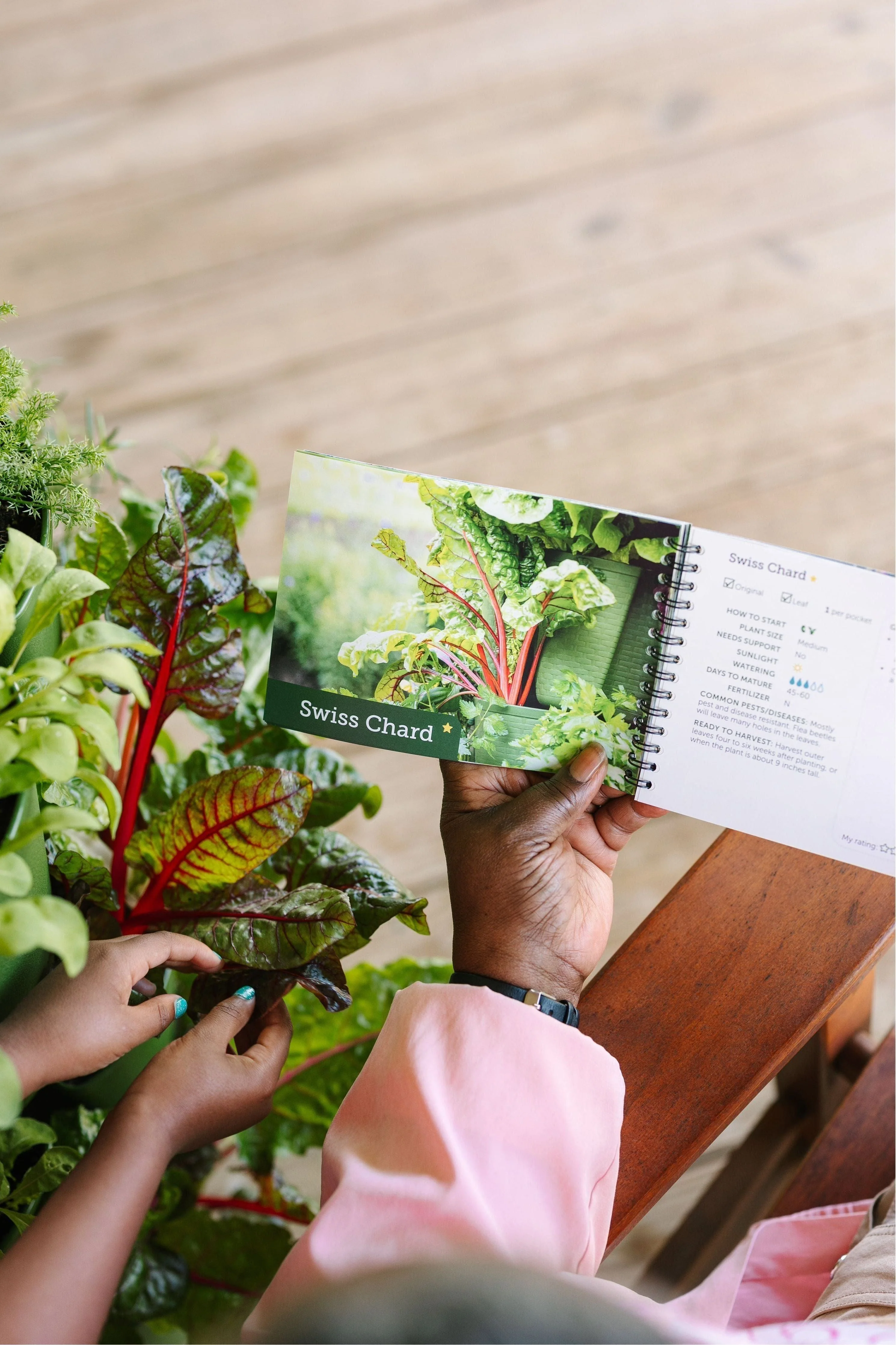 Edible Plant Guide - Image 5