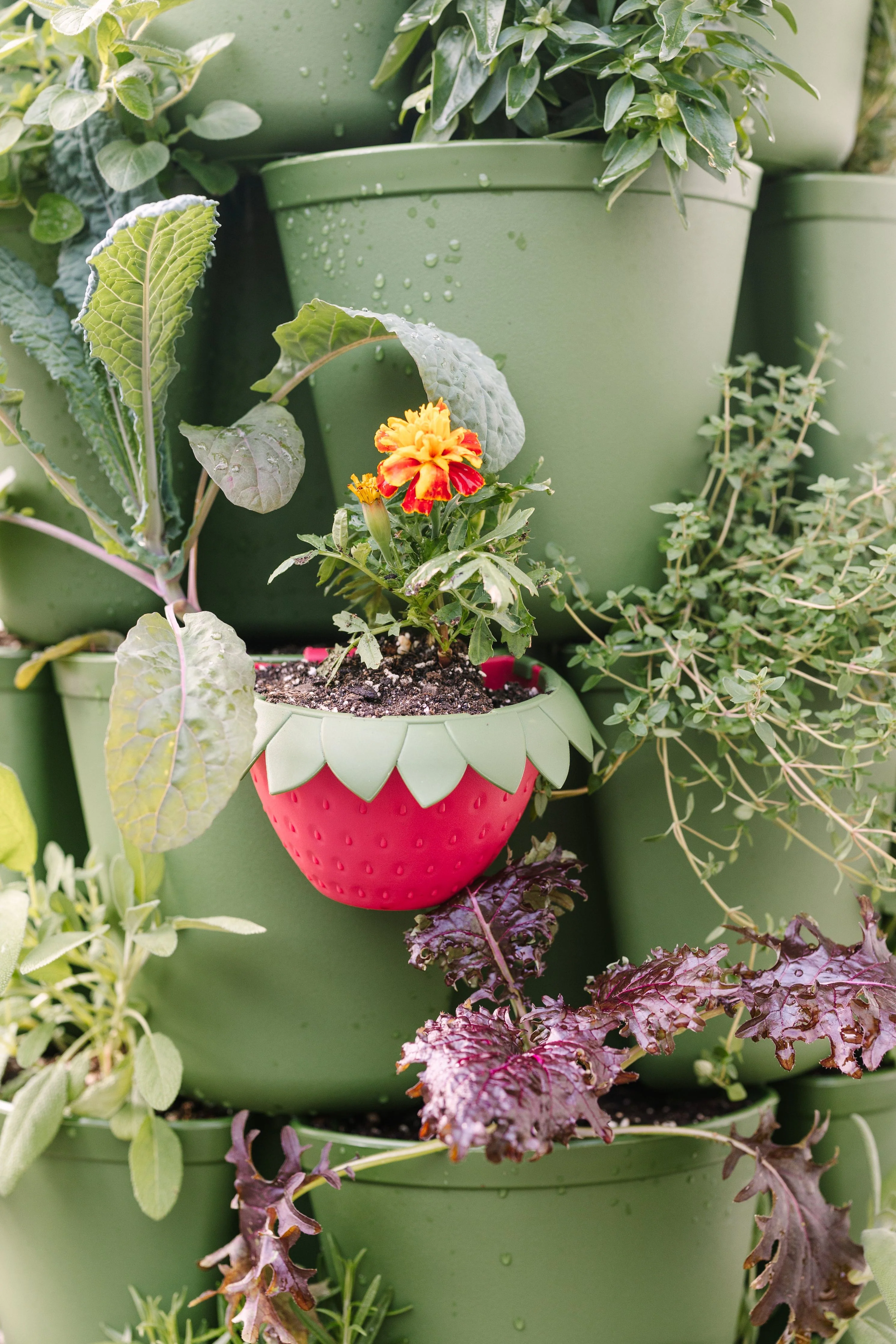GreenStalk Berry Cup - Set of 6 - Image 10