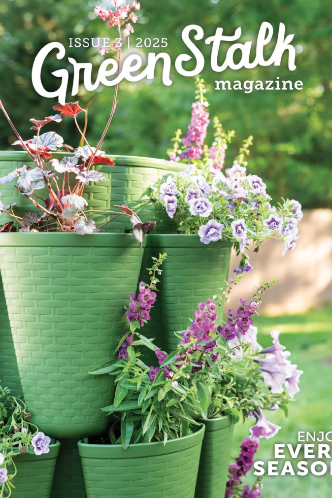 GreenStalk Magazine | 2025 (Digital Download)