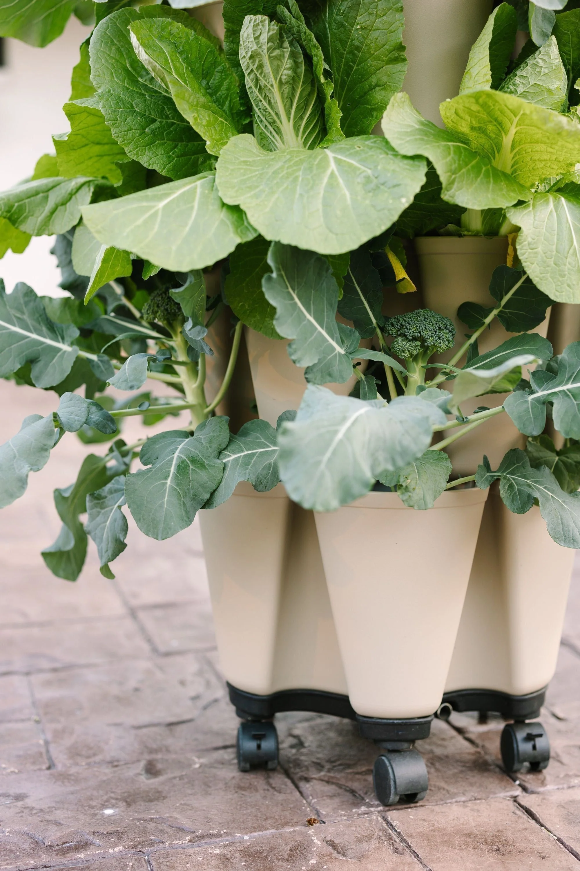 GreenStalk Mover - Image 4