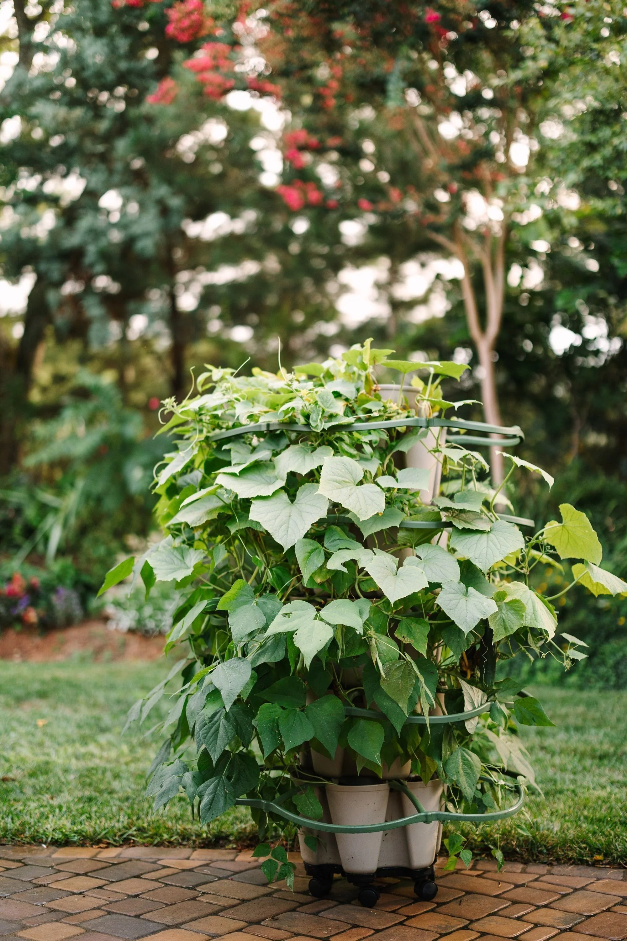 GreenStalk Mover - Image 6