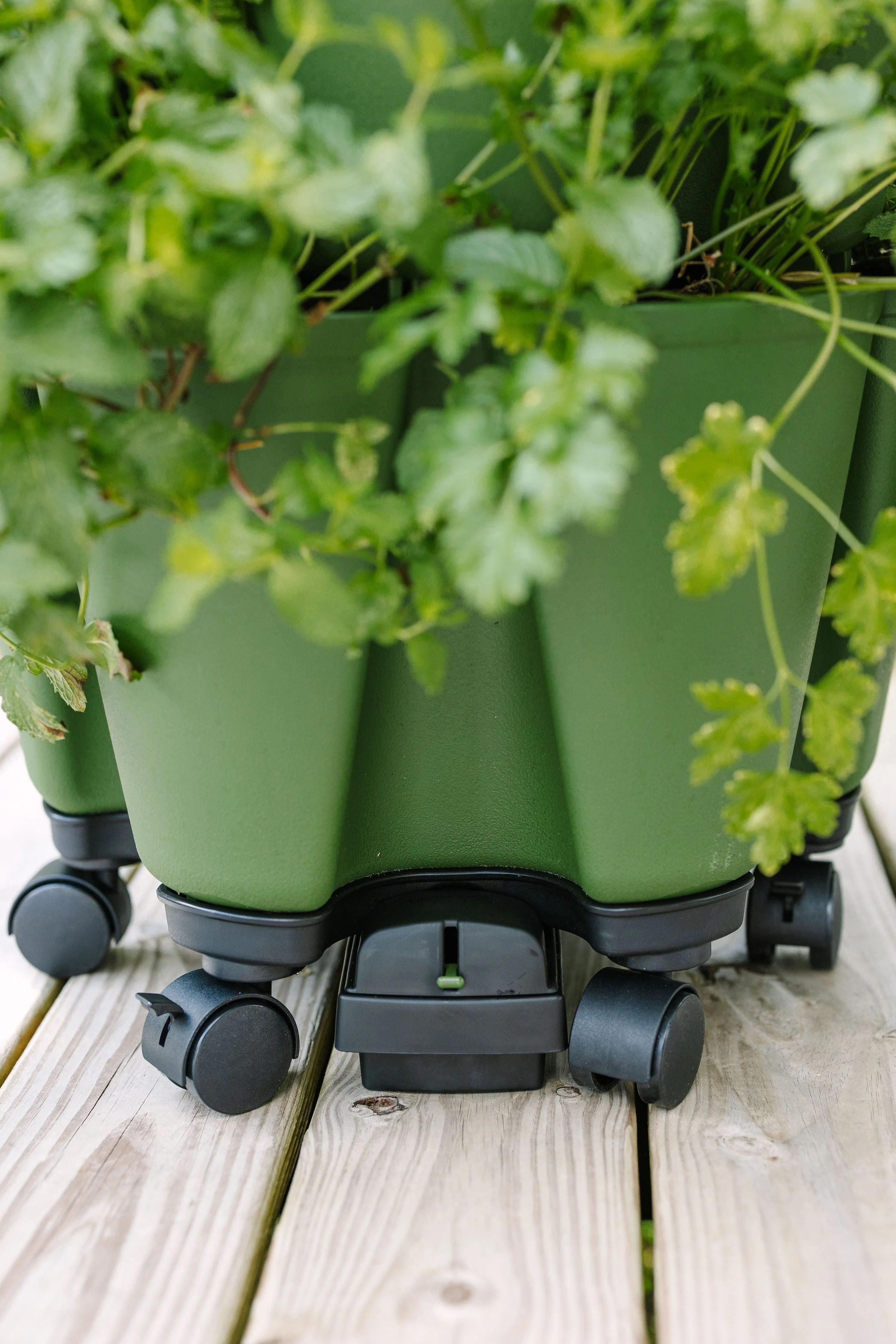 GreenStalk Mover Drip Tray - Image 7