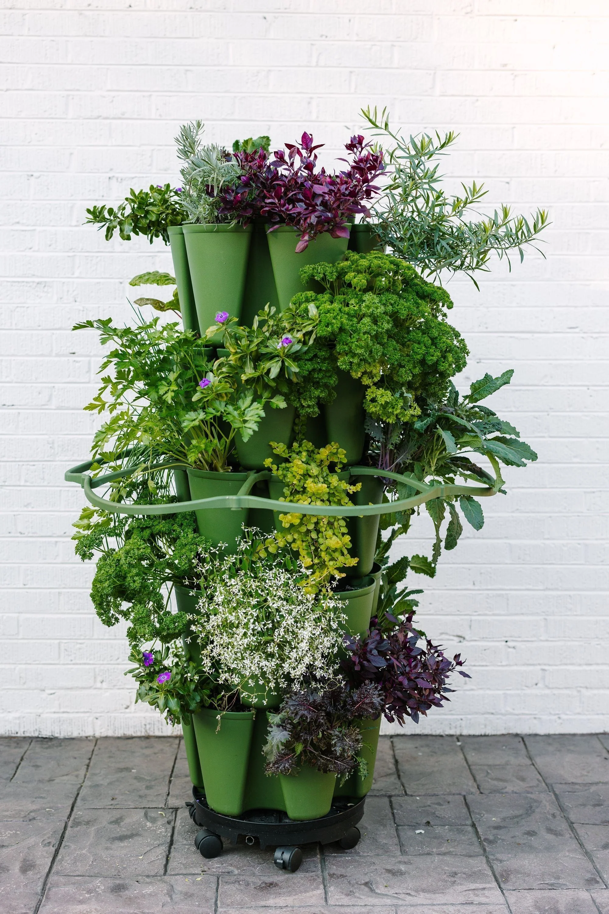 GreenStalk Plant Support | Single - Image 4