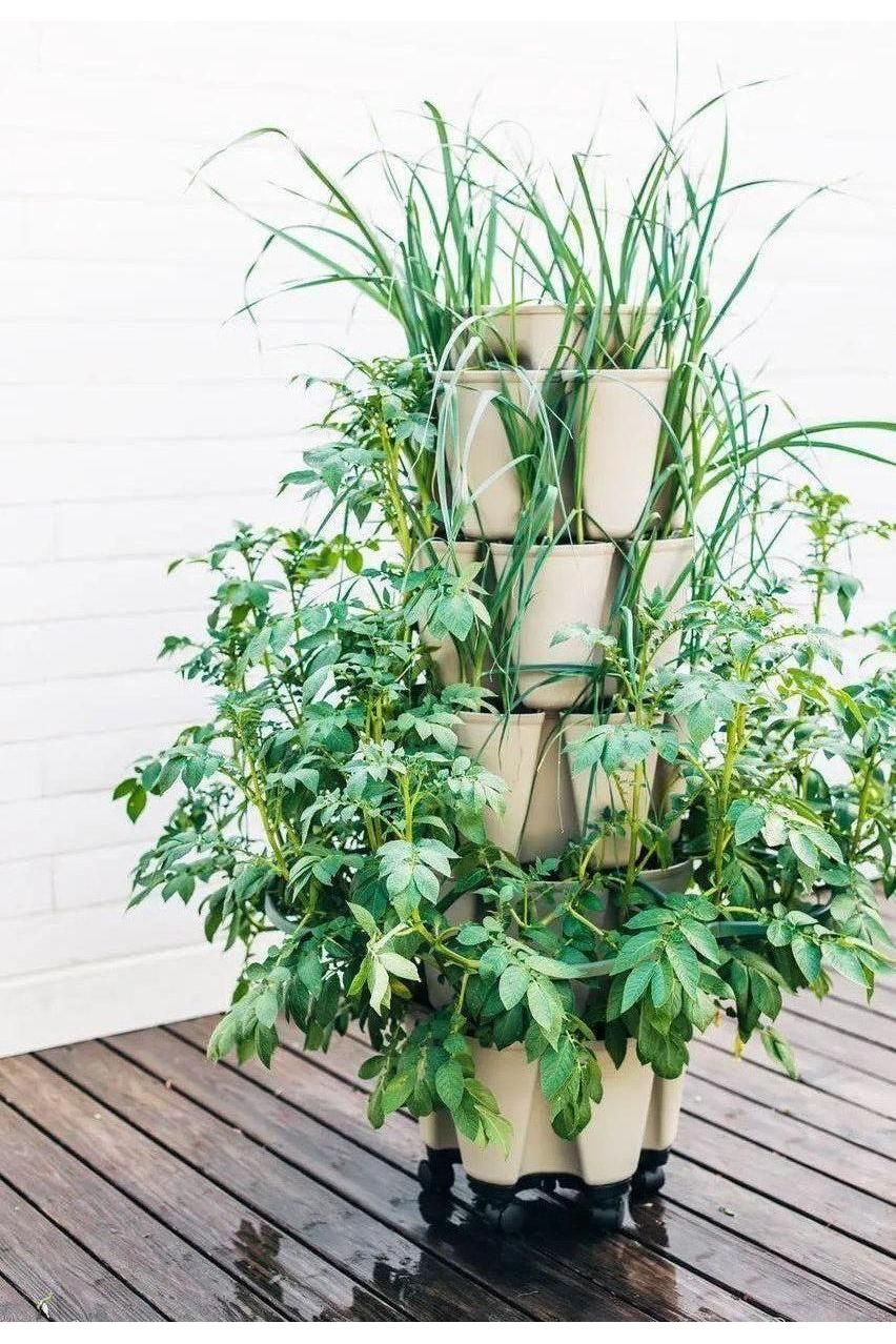 GreenStalk Plant Support | Single - Image 6