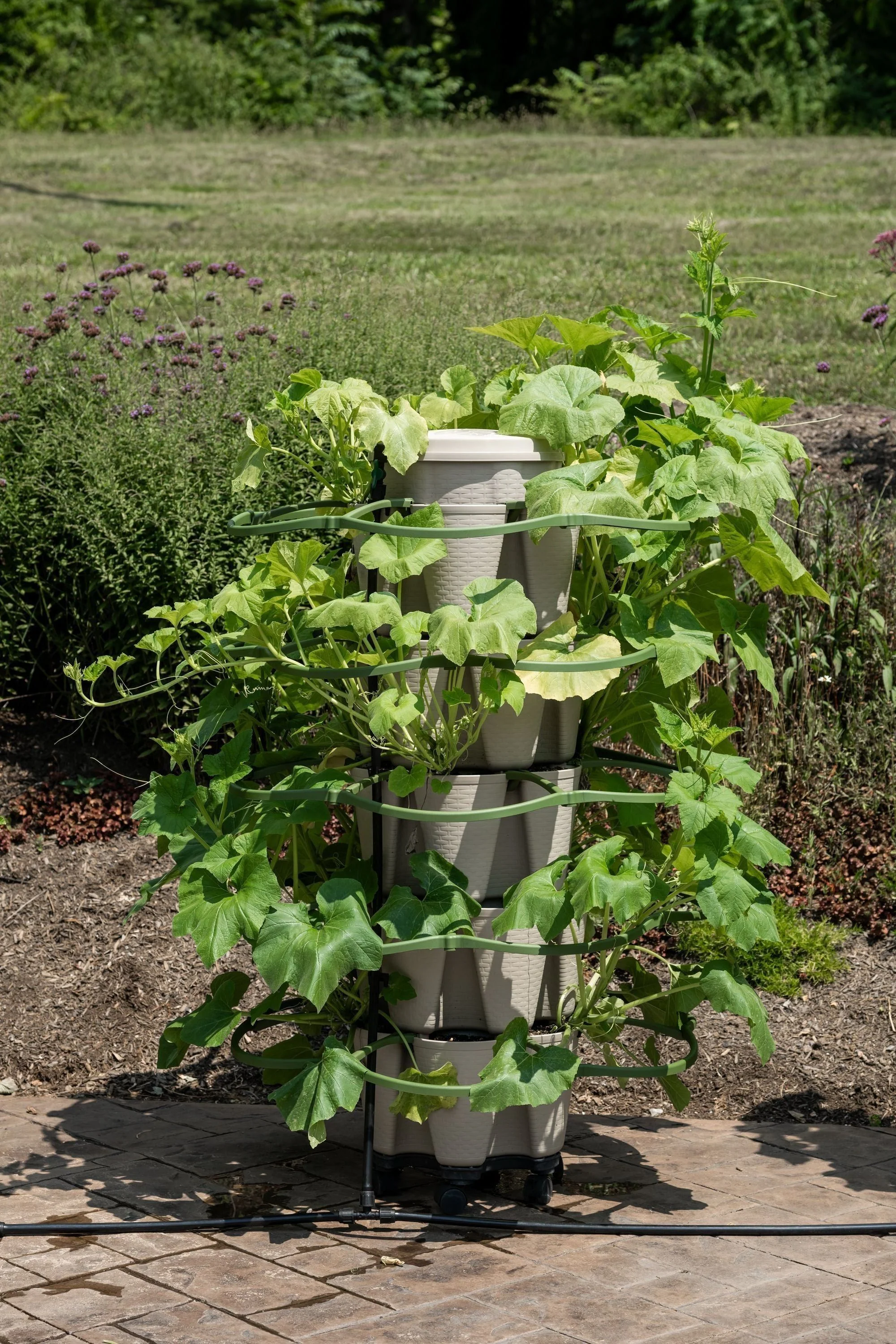 GreenStalk Plant Support | Single - Image 7
