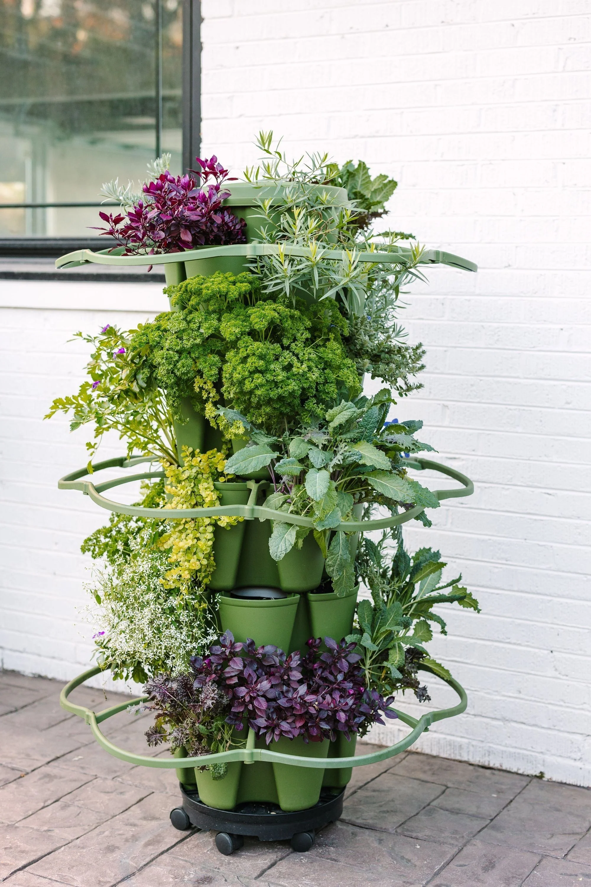 GreenStalk Plant Support (Set of 3) - Image 3
