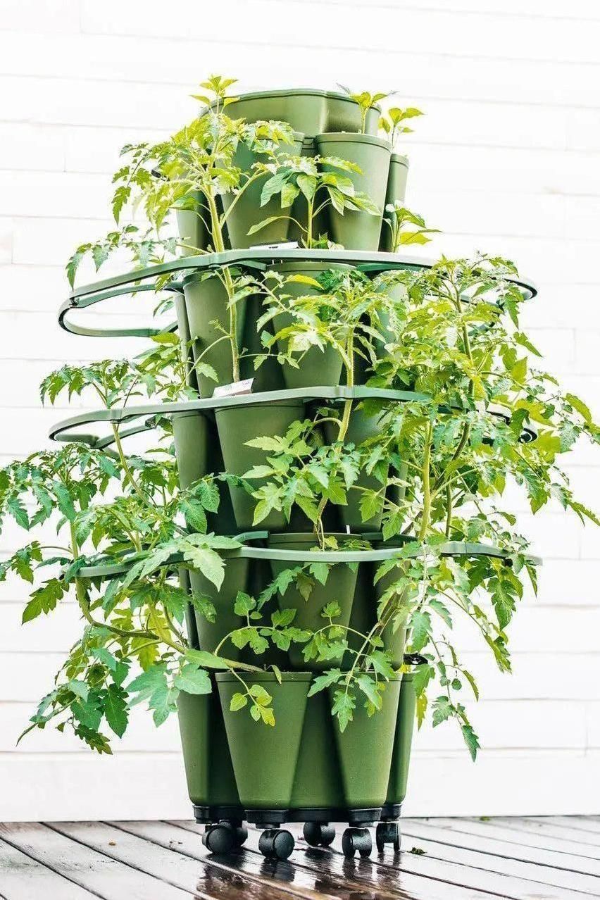GreenStalk Plant Support (Set of 3) - Image 5
