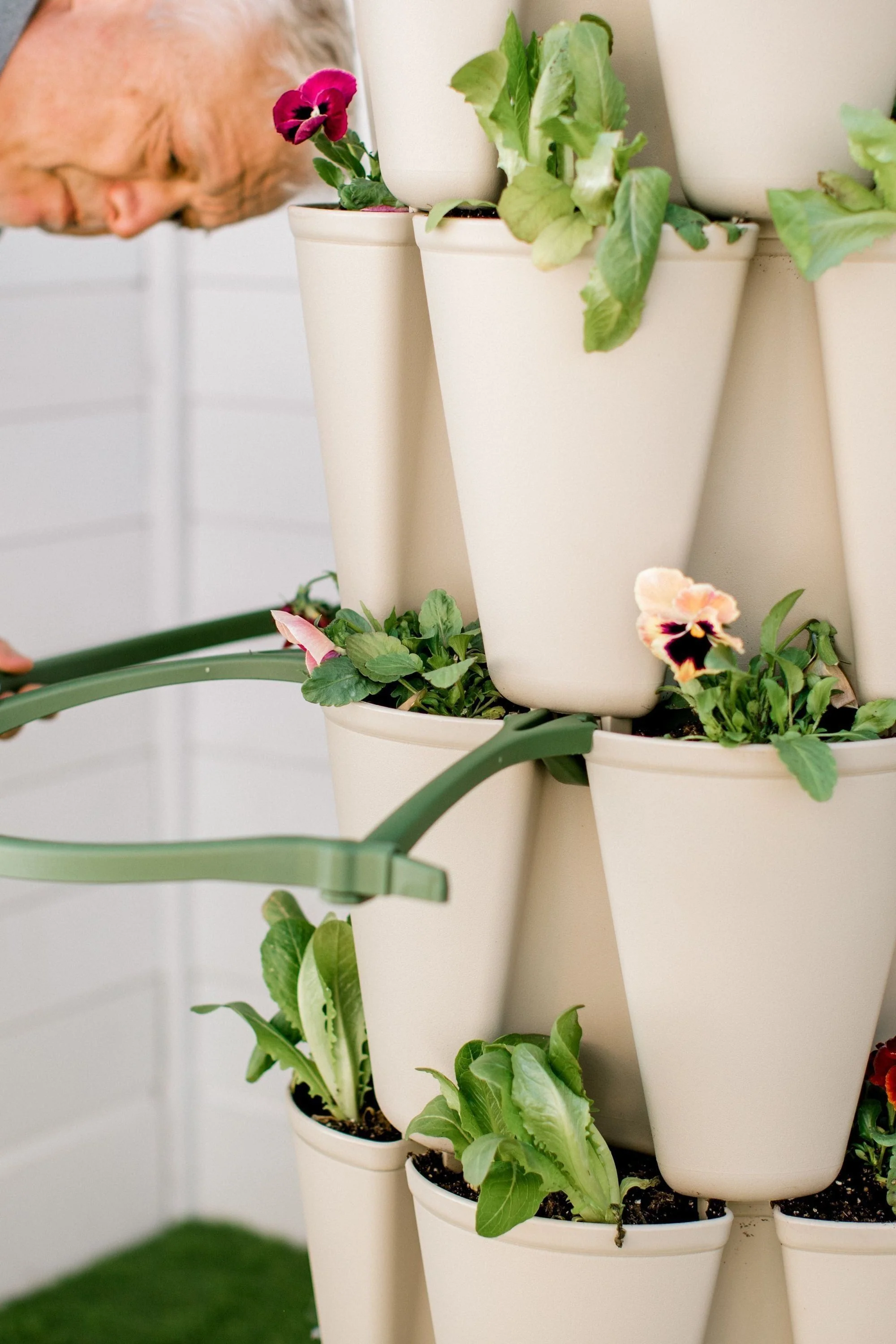 GreenStalk Plant Support (Set of 3) - Image 8