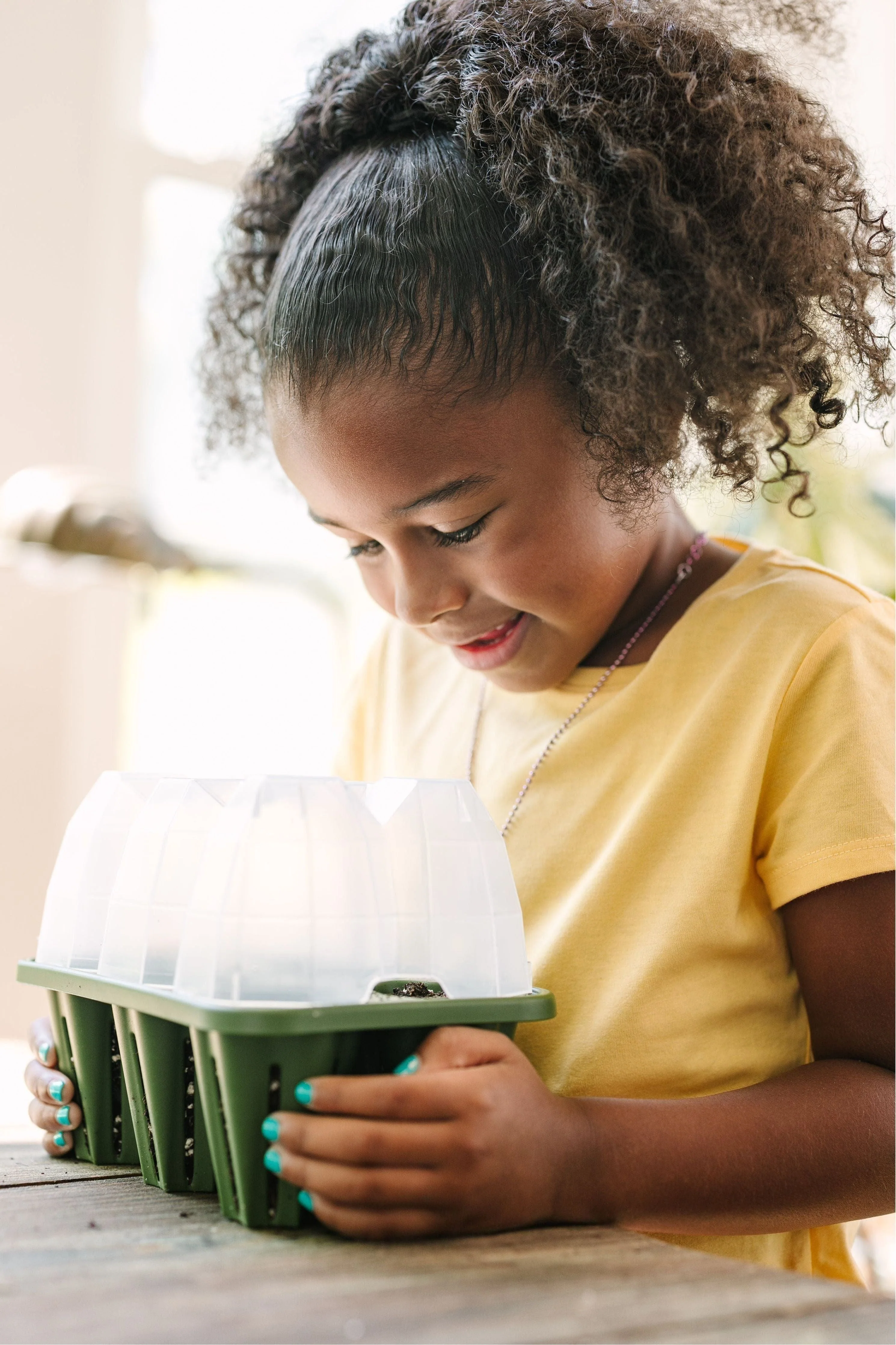 Seed Starter Dome - Set of 6 - Image 2
