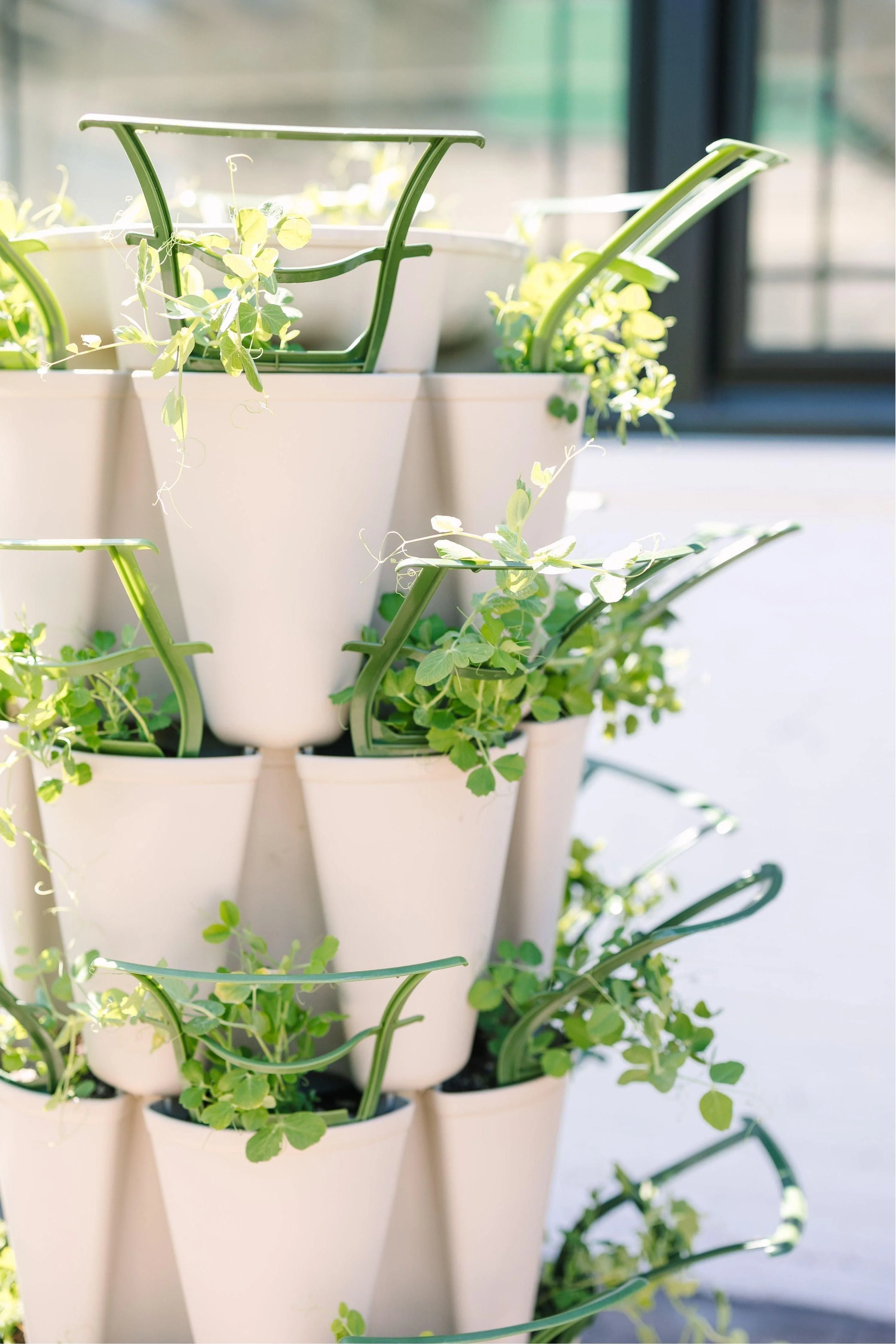 GreenStalk Trellis - Set of 3 - Image 6