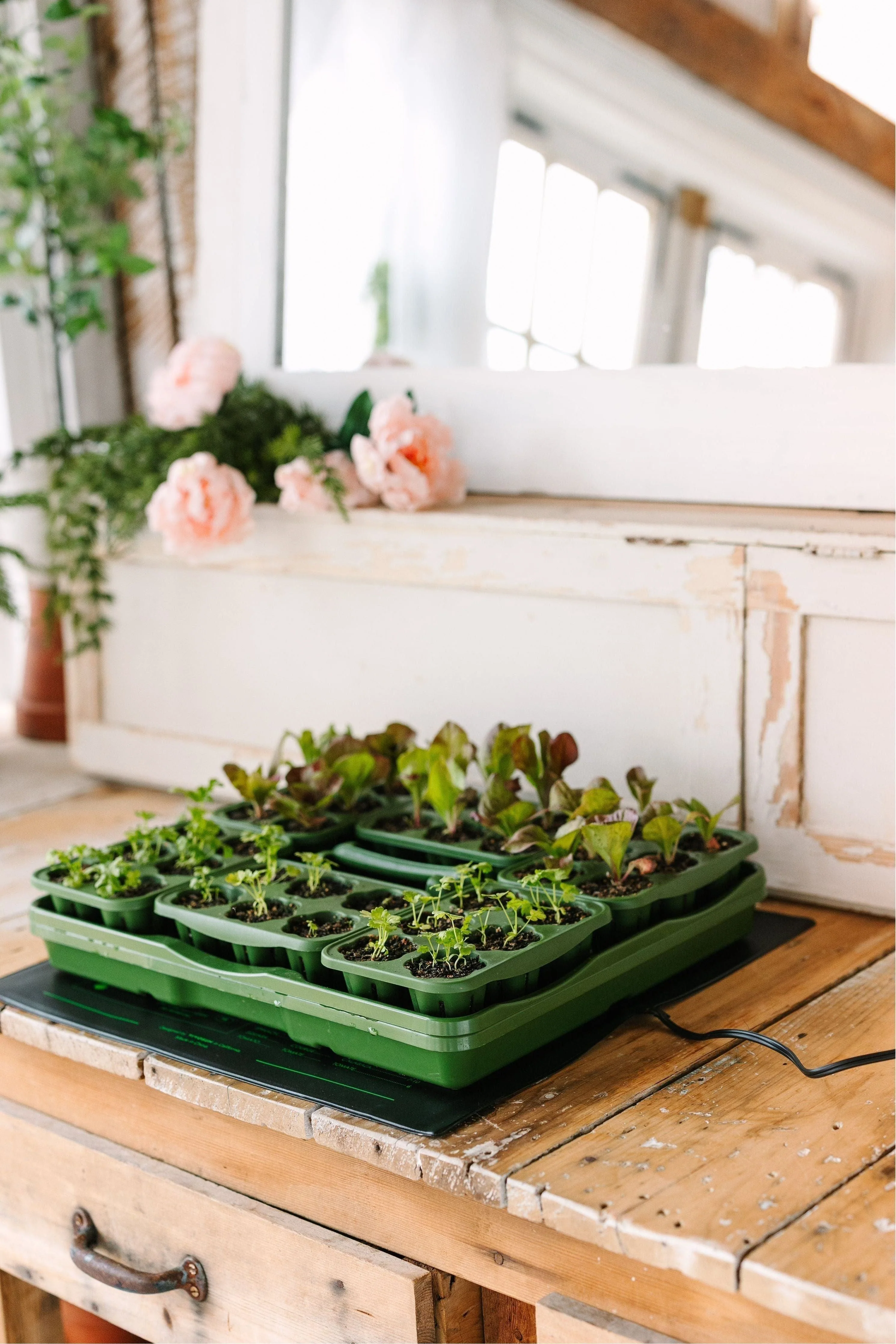 Heat Mat for Seed Starter Kits - Image 2