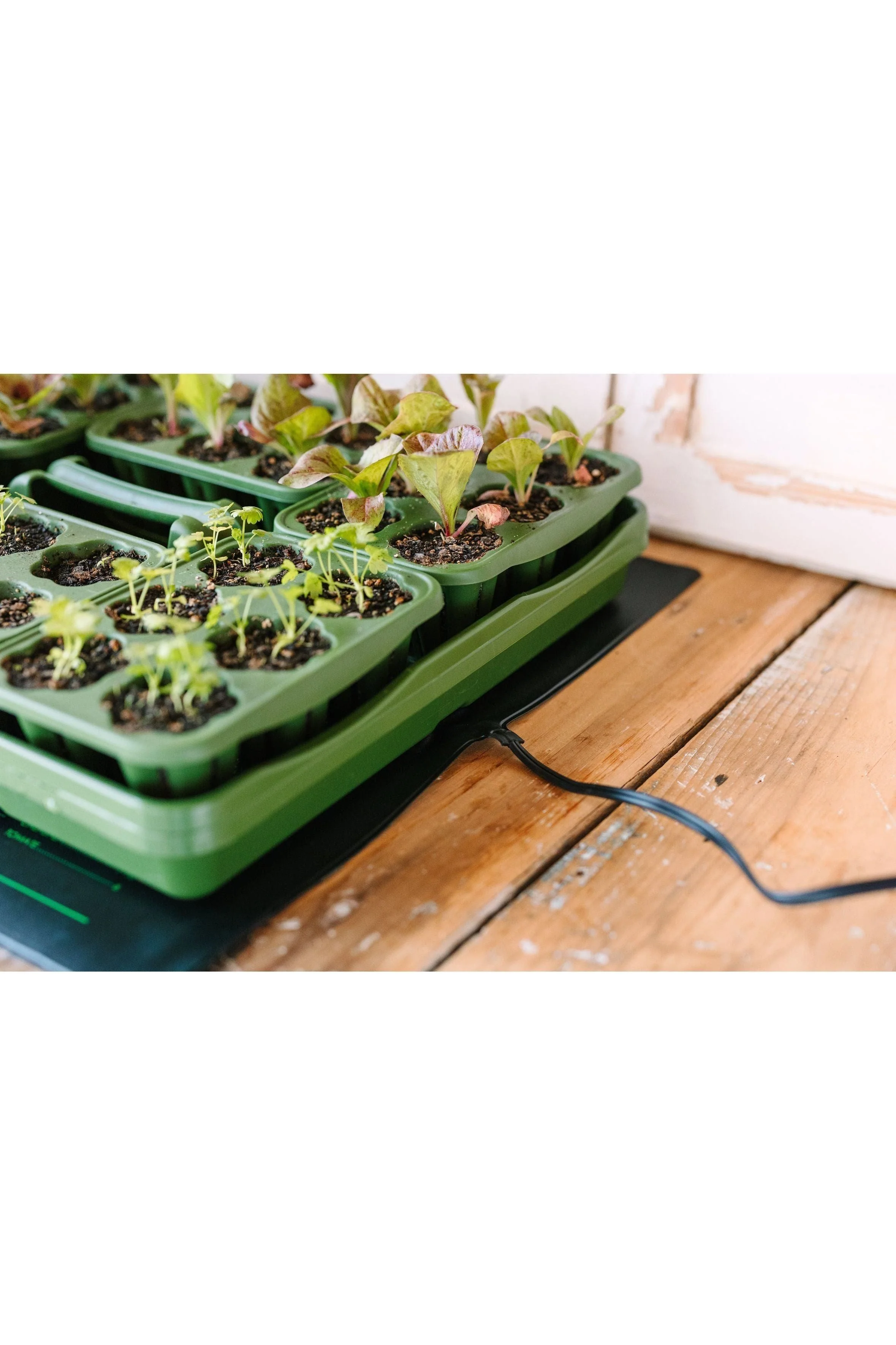 Heat Mat for Seed Starter Kits - Image 3