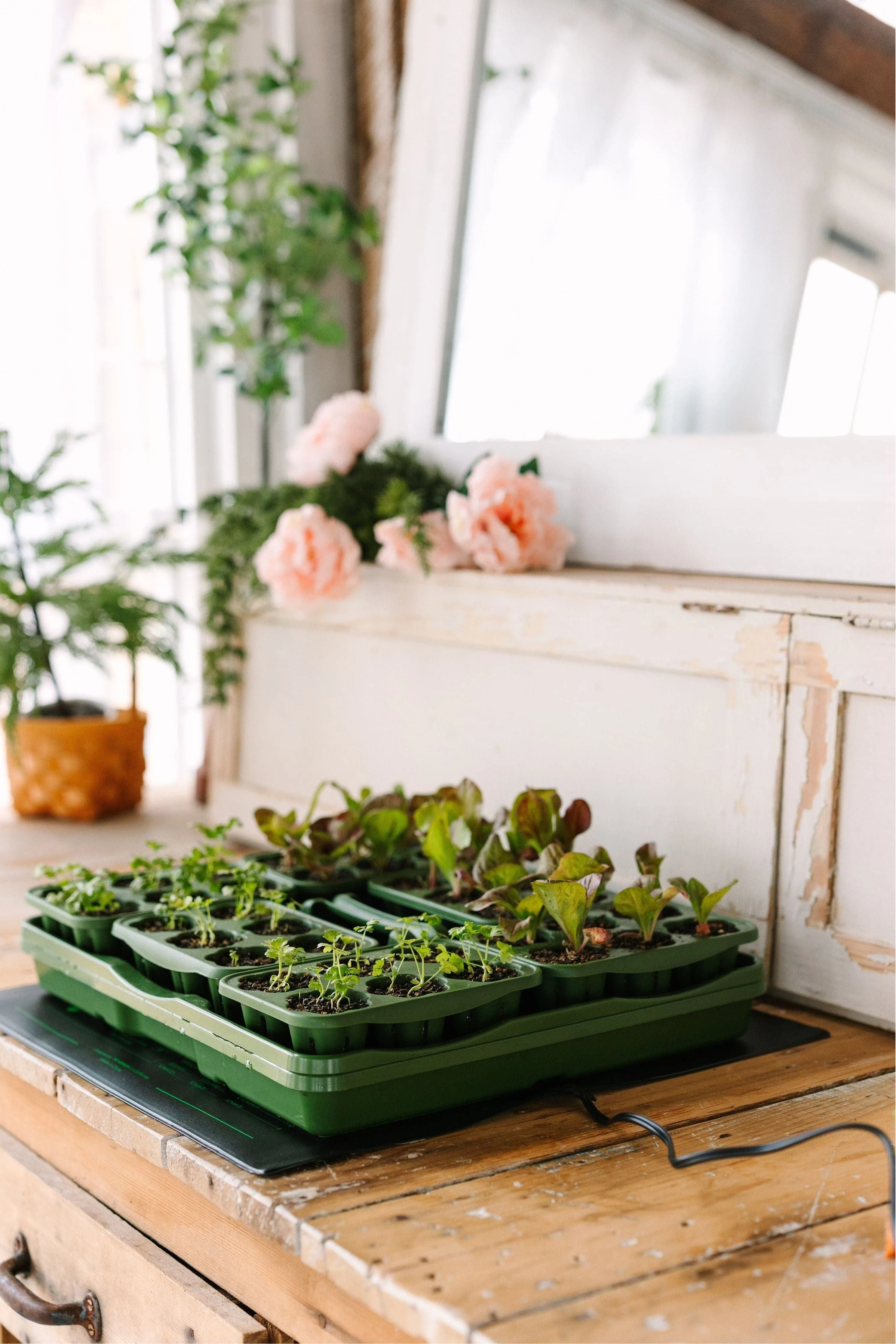 Heat Mat for Seed Starter Kits - Image 4