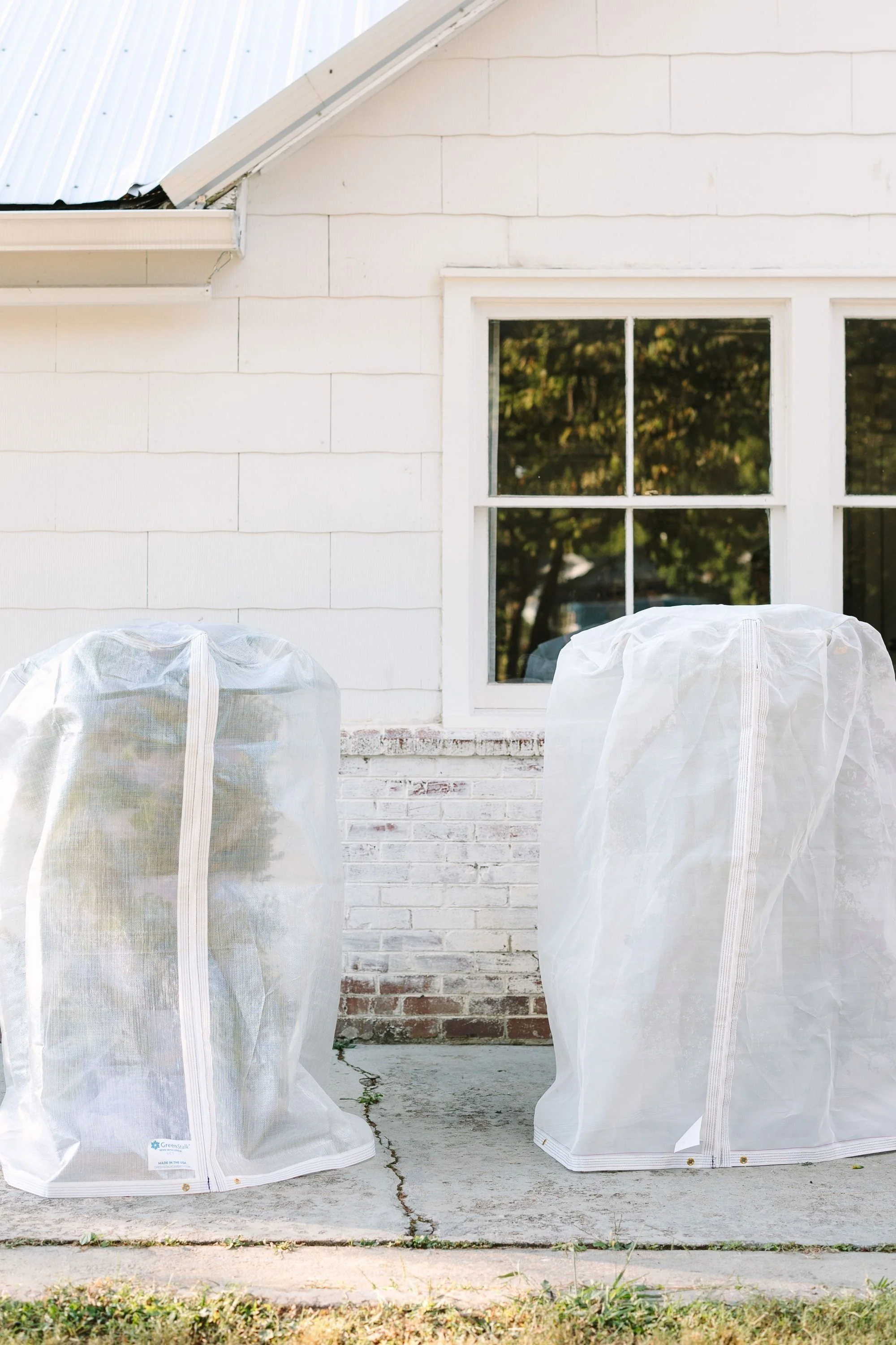 Insect + Frost Protection Cover