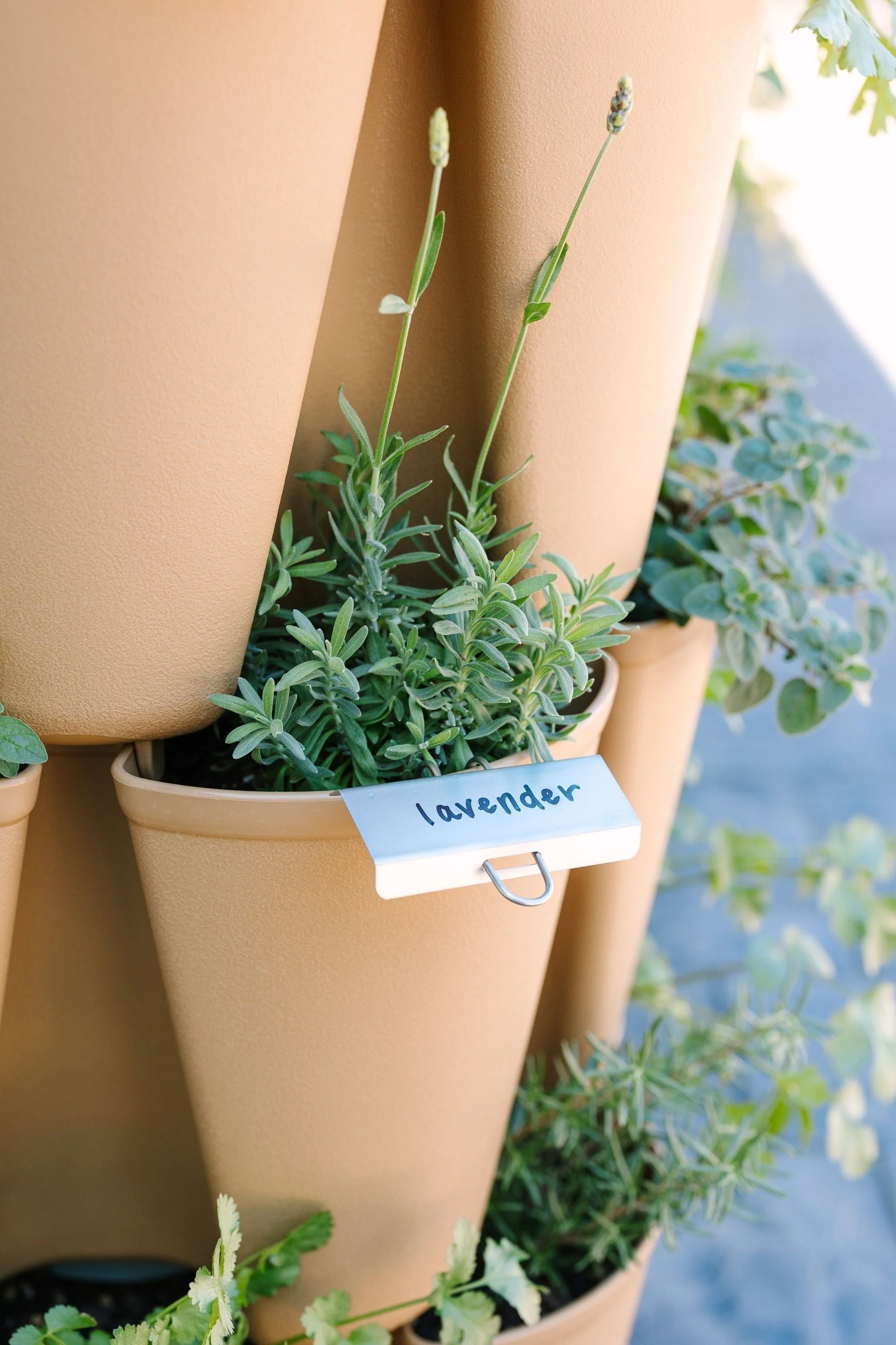 Pack of 25 Plant Markers for Staking in the GreenStalk - Image 3