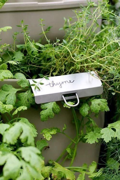 Pack of 25 Plant Markers for Staking in the GreenStalk - Image 4
