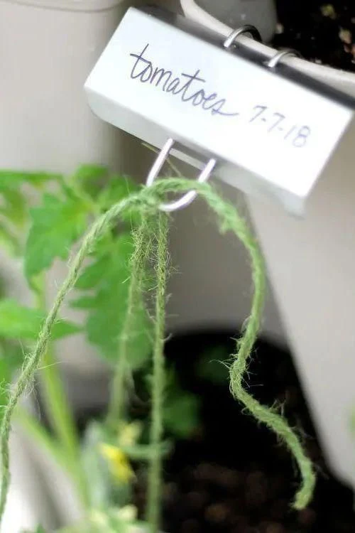 Pack of 25 Plant Markers for Staking in the GreenStalk - Image 5